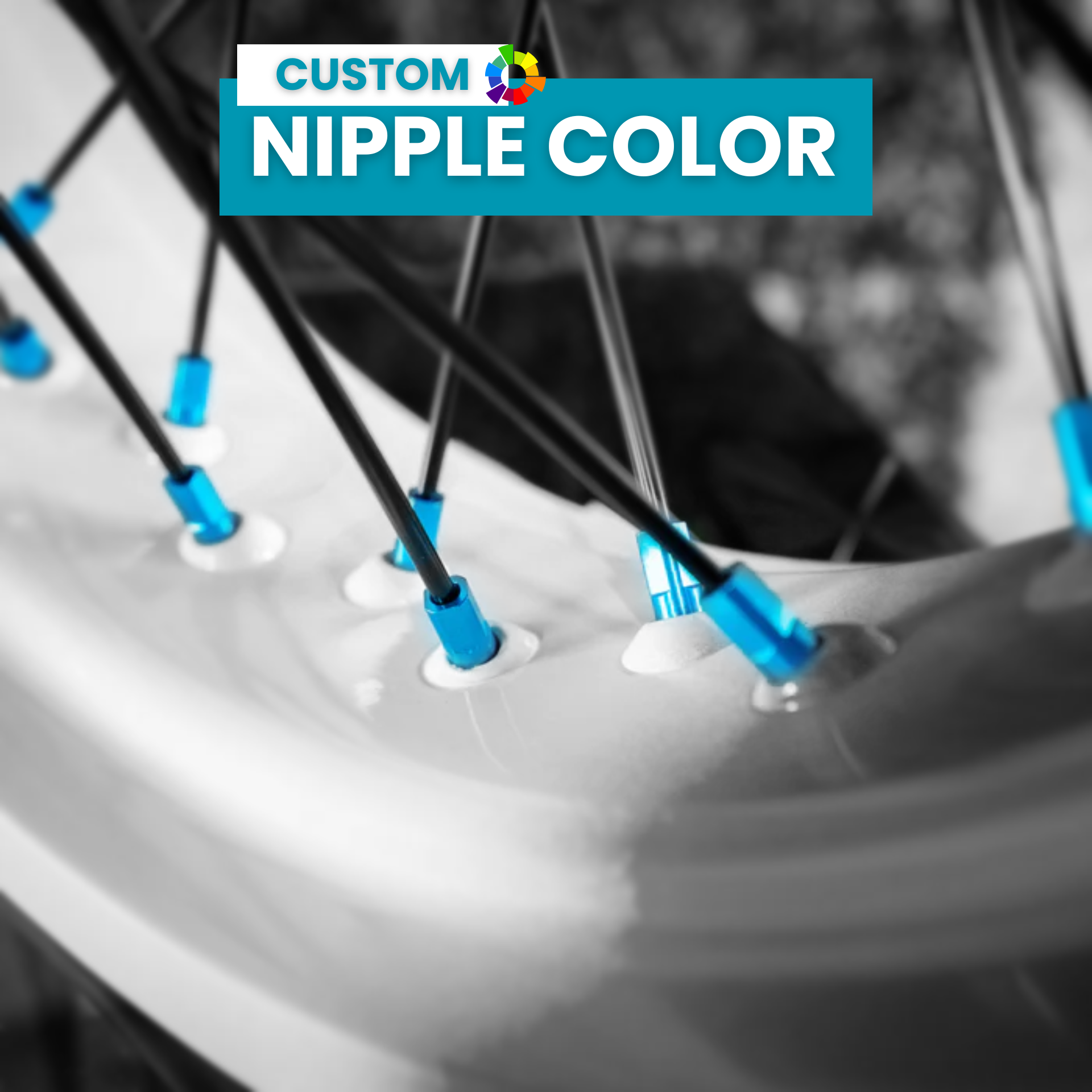 Full Custom - Wheel Set