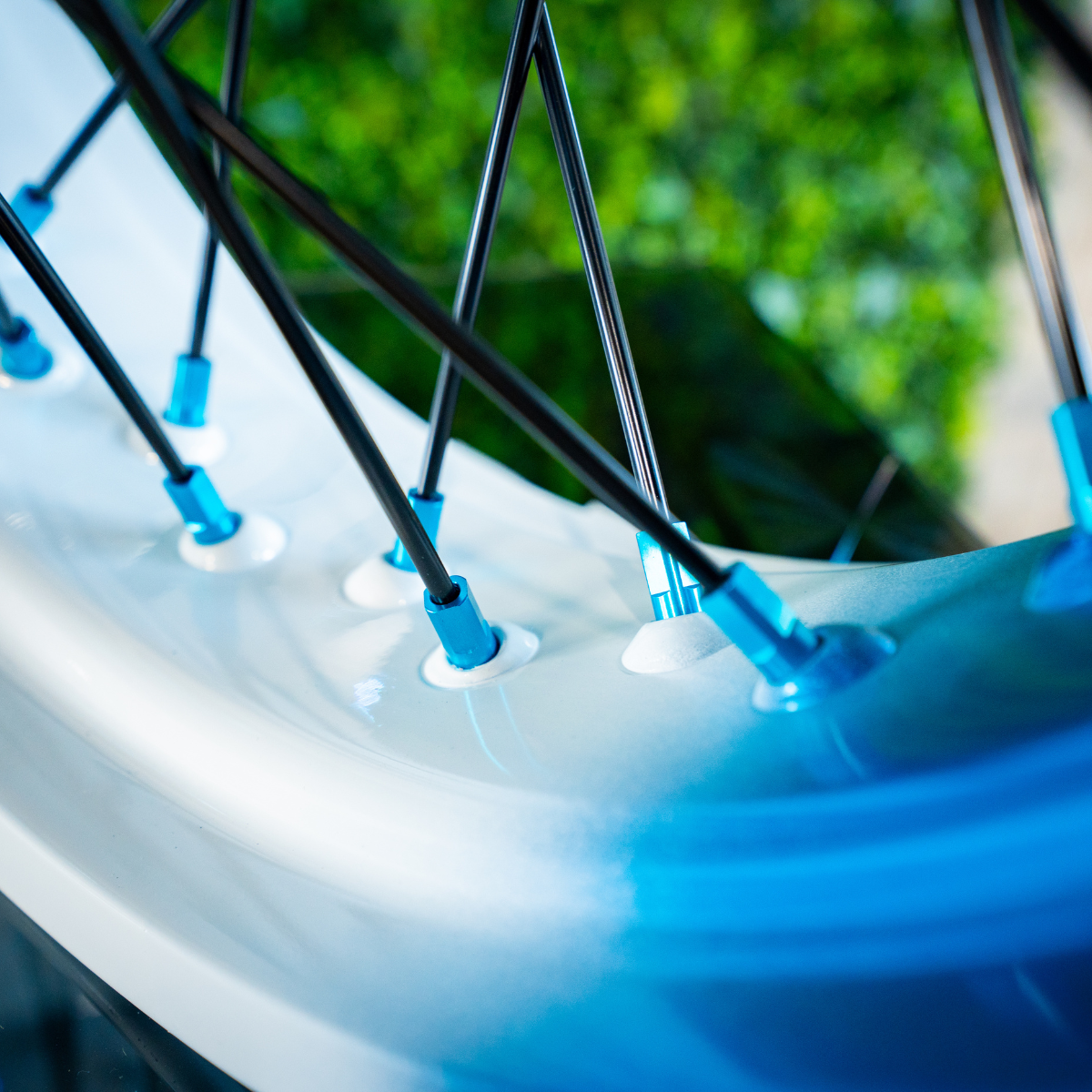 White / Light Blue - Wheel Set