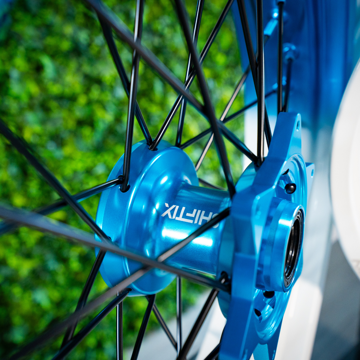 White / Light Blue - Wheel Set