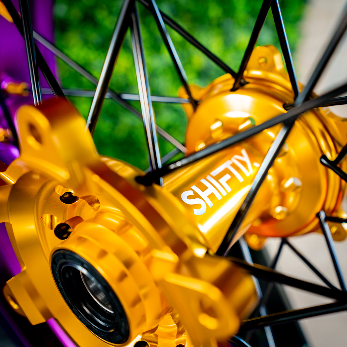 Purple / Gold - Wheel Set