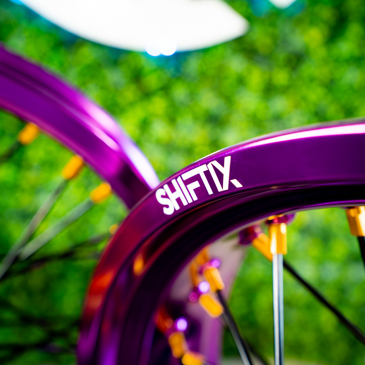 Purple / Gold - Wheel Set