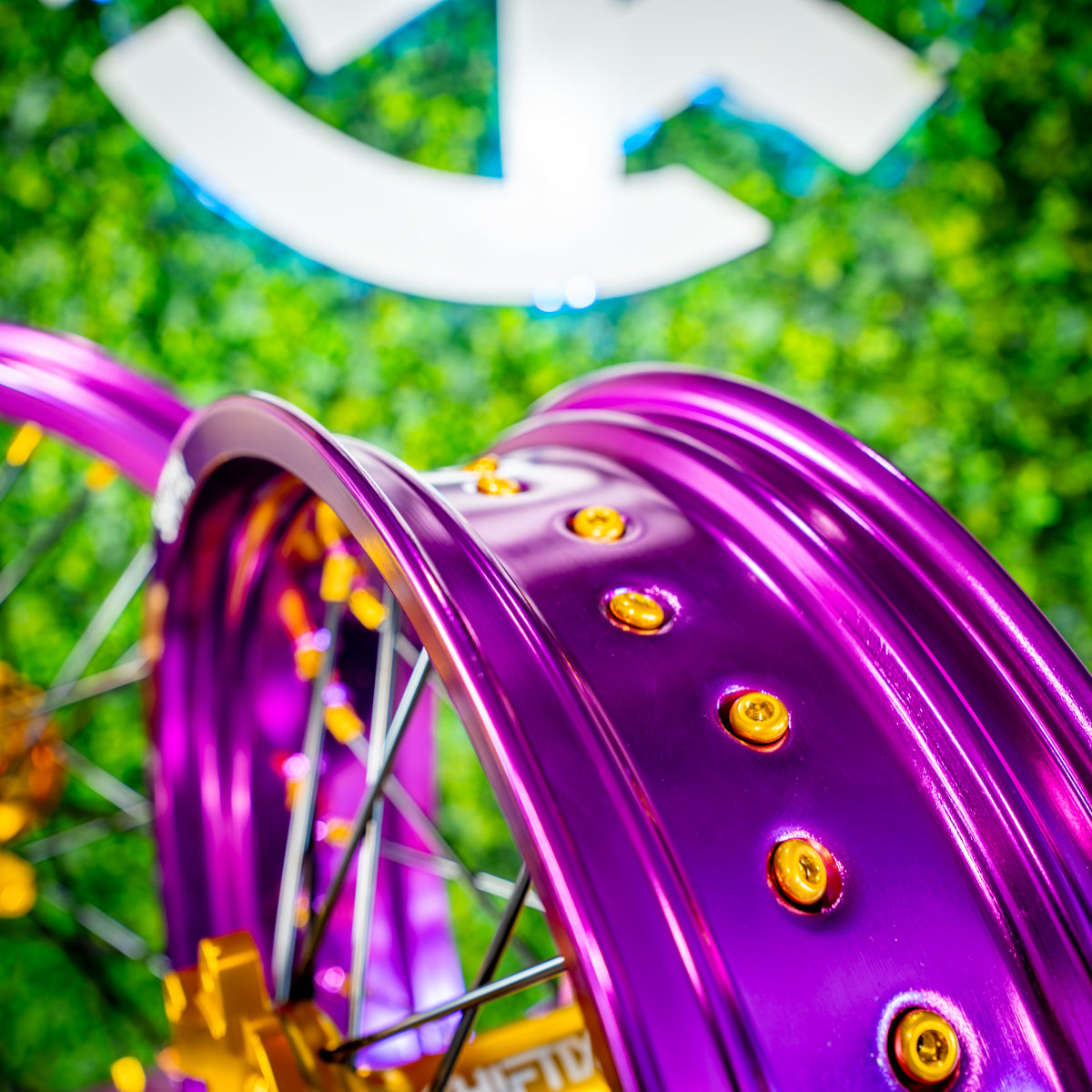 Purple / Gold - Wheel Set