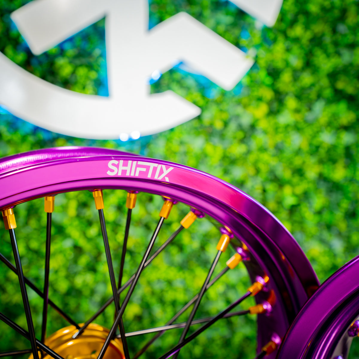 Purple / Gold - Wheel Set