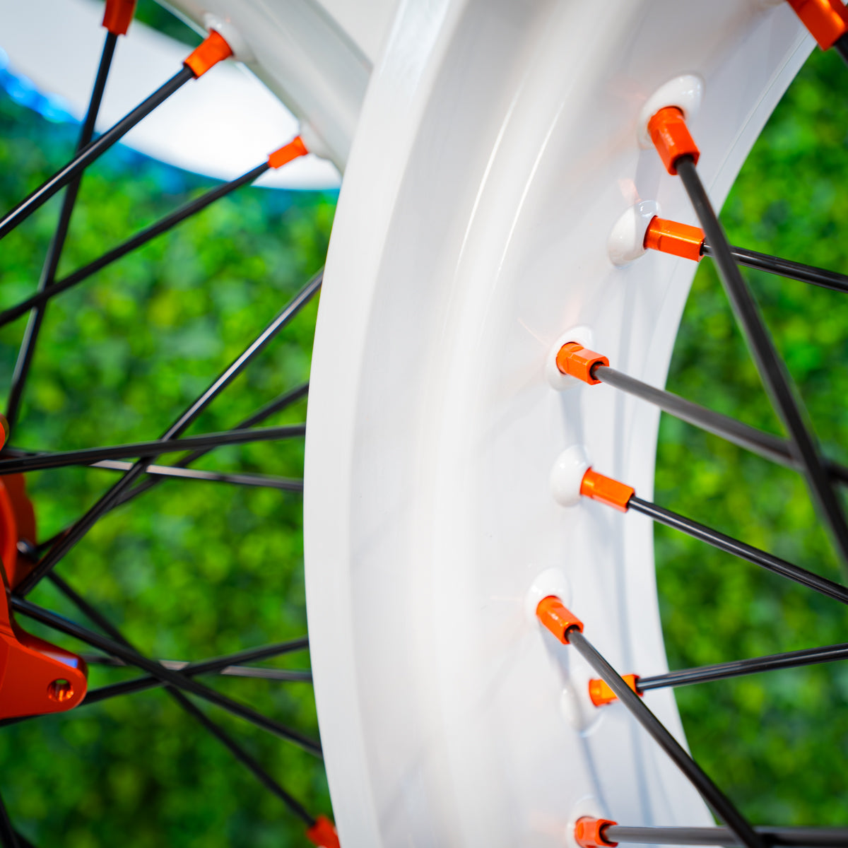 White / Orange - Wheel Set